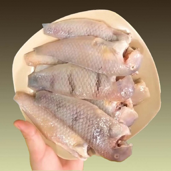 Cá mó tươi (cá lưỡi mèo) giá tốt hôm nay
